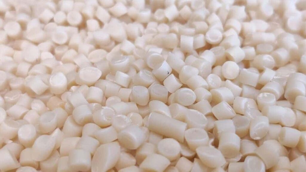 This Startup is developing a Low-Cost, Compostable Alternative to Single-Use Plastic