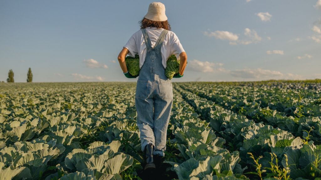 Mondi makes mulching more sustainable with Cotesi, replacing unnecessary plastic with paper