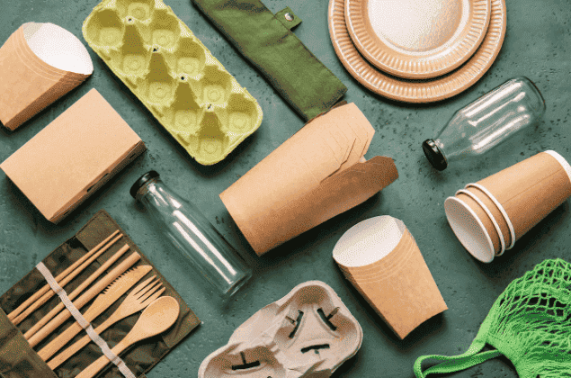 Pro Carton urges global collaboration and responsible forestry at COP29