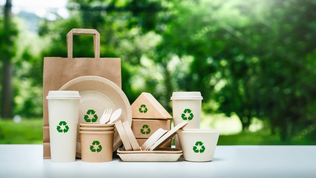 Innovations in Sustainable Food Packaging: Advancements and Collaborations Driving Change
