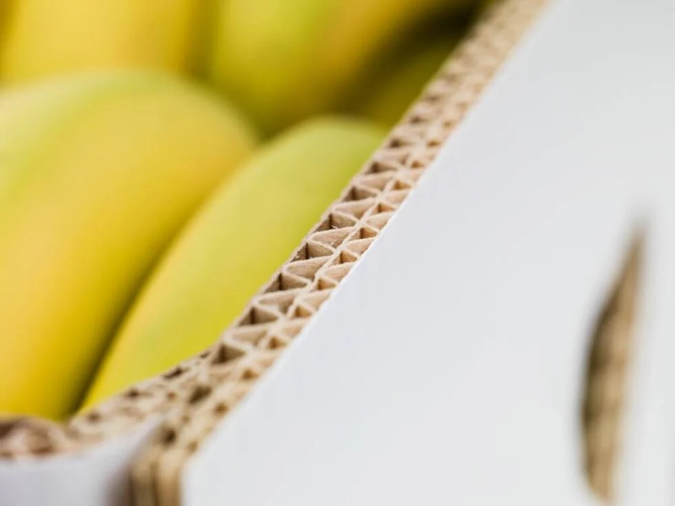 Billerud invests in the next level of fluting performance at Gruvön