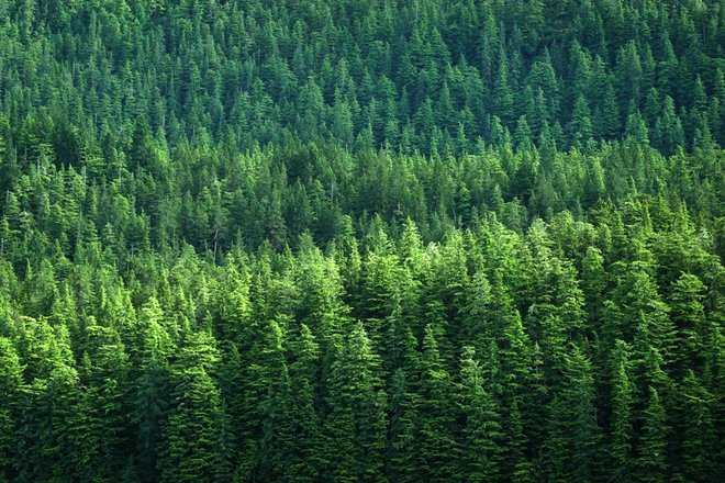 European carton industry cuts fossil carbon footprint by further 8%